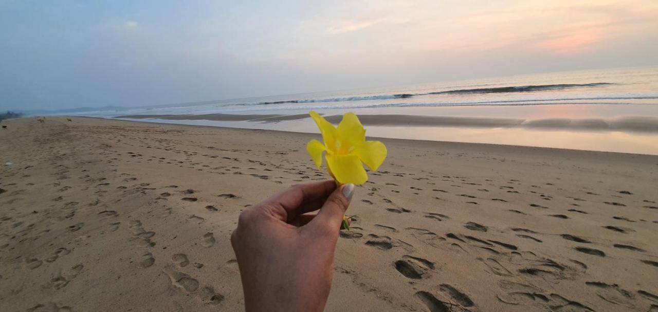 Blue Lagoon Beach Resort โกการ์นา ภายนอก รูปภาพ